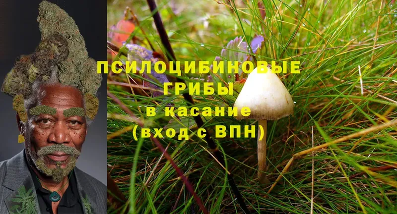 Галлюциногенные грибы Cubensis  площадка официальный сайт  Белоусово 